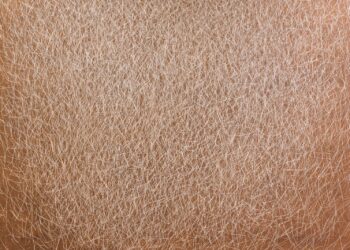 A close up of a person's brown hair