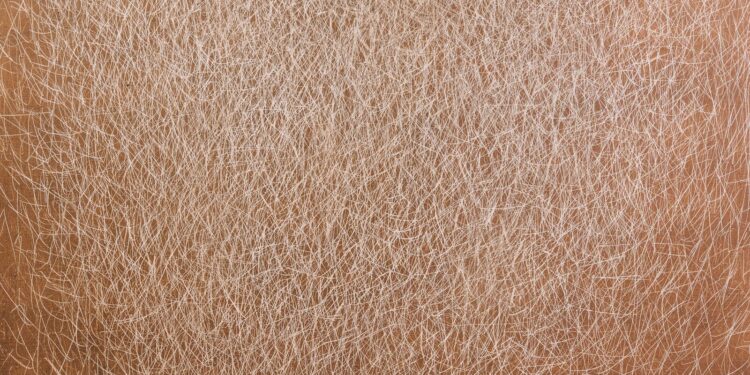 A close up of a person's brown hair