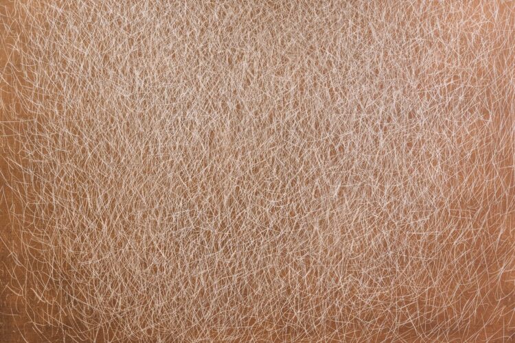 A close up of a person's brown hair