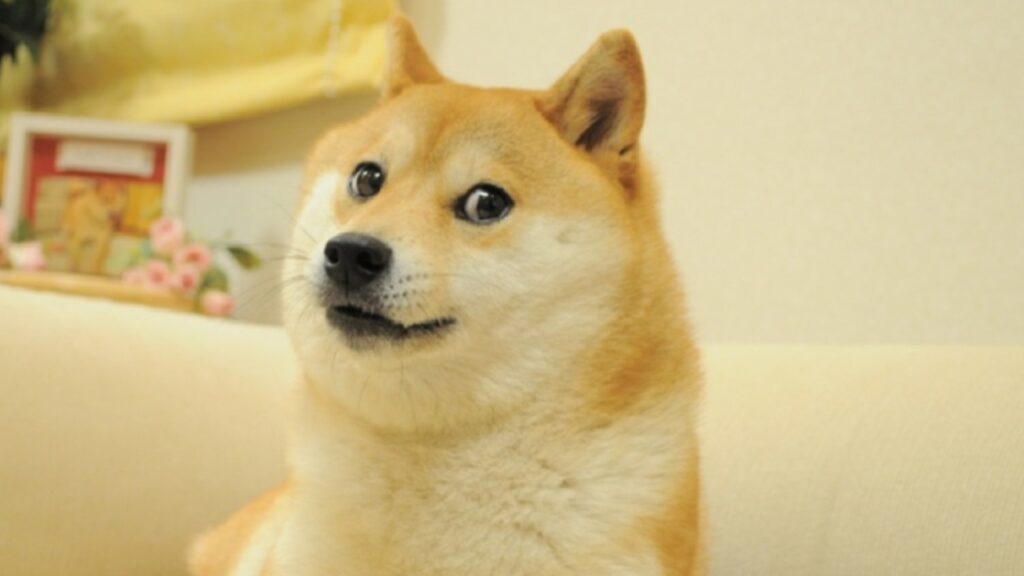 DOGE meme that inspired Dogecoin to be auctioned as NFT for charity ...